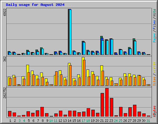 Daily usage for August 2024