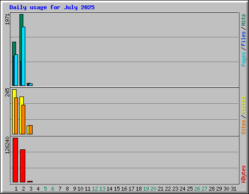 Daily usage for July 2025