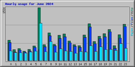 Hourly usage for June 2024