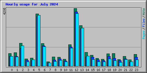 Hourly usage for July 2024