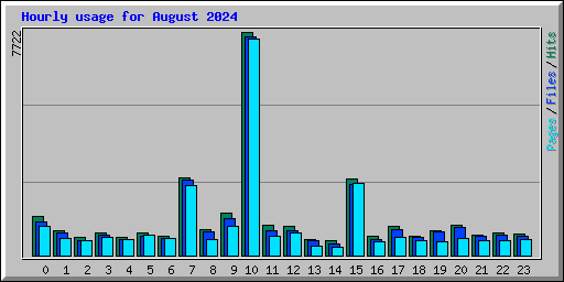 Hourly usage for August 2024