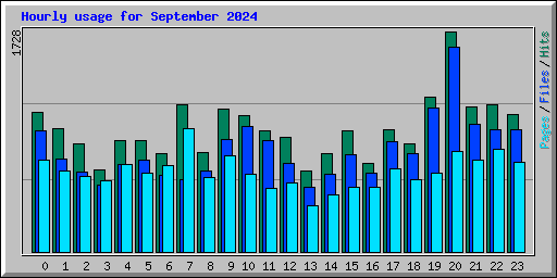 Hourly usage for September 2024