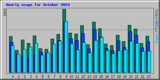 Hourly usage for October 2024