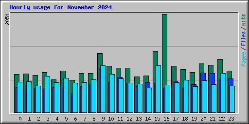 Hourly usage for November 2024