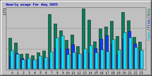 Hourly usage for May 2025