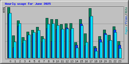 Hourly usage for June 2025