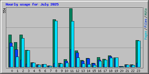 Hourly usage for July 2025