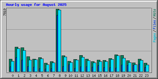 Hourly usage for August 2025
