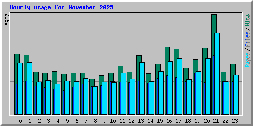 Hourly usage for November 2025