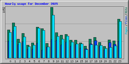 Hourly usage for December 2025