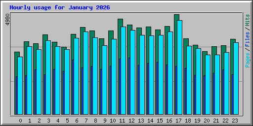 Hourly usage for January 2026