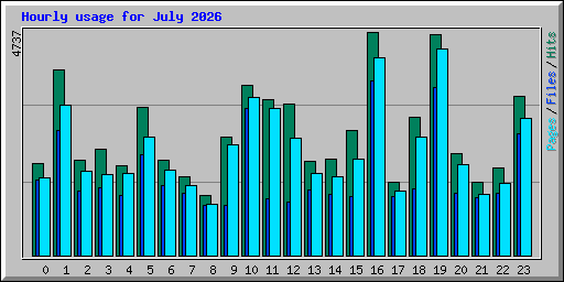 Hourly usage for July 2026